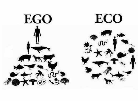 EGO-ECO1.jpg