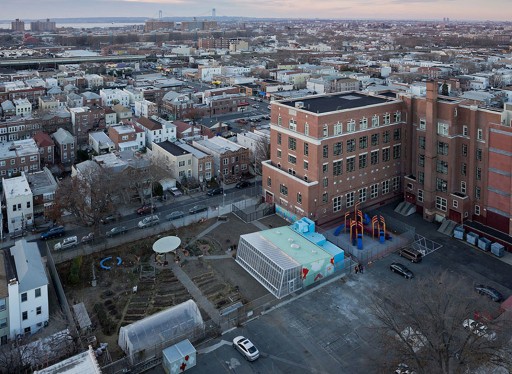 The First Edible Schoolyard in Brooklyn